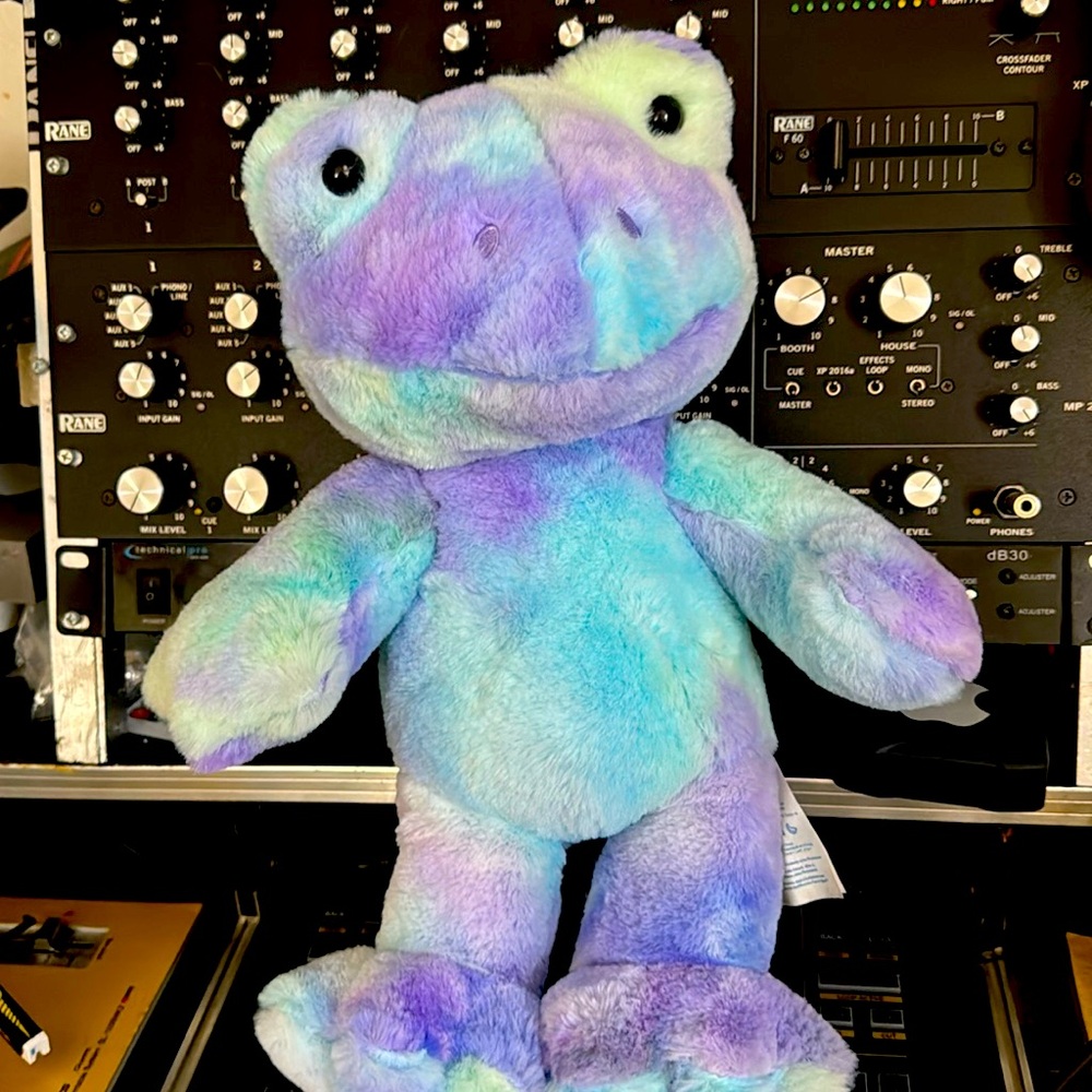 Build A Bear Happy Swirls Tie-Dye Frog Plush - NWT Online Exclusive - New w Tags